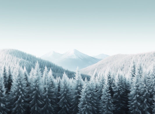 NATURA SIBERICA